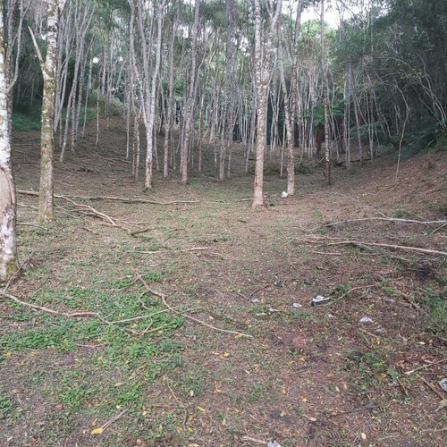 Imagem 6 de 12 de Terreno Em Juquítiba Sp 5 Mil Metros