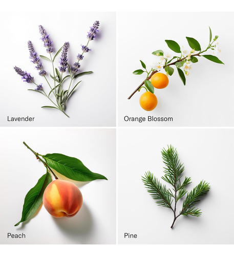 The Hotel For Aroma Oil Scent Diffusers - 10 Milliliter