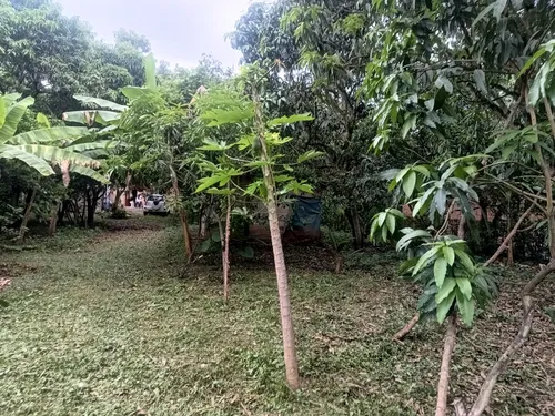 Finca De Descanso
