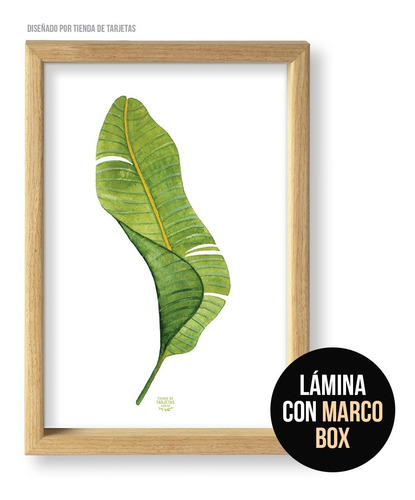 Imagen 4 de 10 de Set De 3 Cuadros (3 A4) Diseños Tropicales A Elección