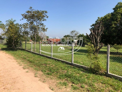 Imagem 7 de 8 de Ótima Chácara Em São Pedro. (código Ch00056) - Ch00056 - 70715263
