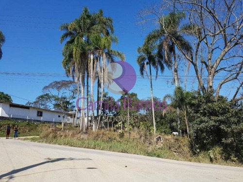 Imagem 5 de 5 de Terreno Residencial À Venda, Jardim Das Lavras Mirim, Suzano/sp. - Te0124 - 68334521
