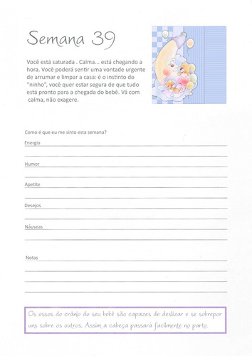 Imagem 9 de 9 de Diário Da Gravidez Gestante Mamãe Personalizado Com Caixa