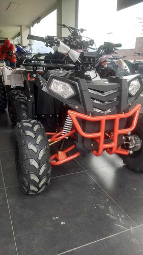 Cuatrimoto Polar 110 Motor 4t