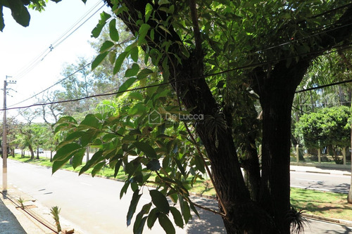 Imagem 12 de 30 de Casa Á Venda E Para Aluguel Em Taquaral - Ca008942