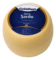 Comprar Queso Sardo Raggio Di Sole Horma 3 Kg Aprox Envasado