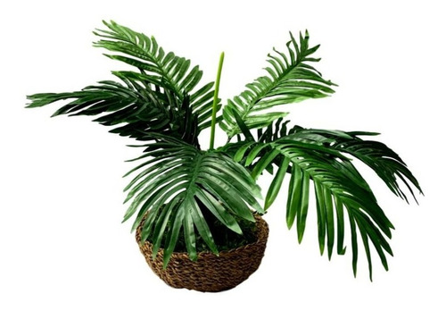 5 Plantas Artificiais Palmeira Pequena Coqueiro Artificial | Parcelamento  sem juros