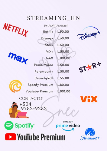 Plataformas Premium; Netflix, Max, Disney+, Star+, Prime Vid