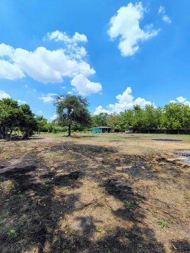 Lote De 5000m2 Santo Tomas (cm&d142).