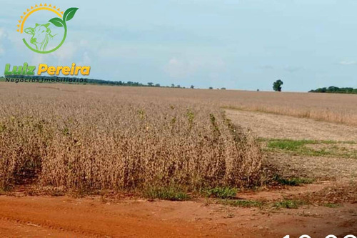 Imagem 10 de 15 de Fazenda À Venda Em Anaurilândia - Ms - (excelente Para Lavoura) - 1696