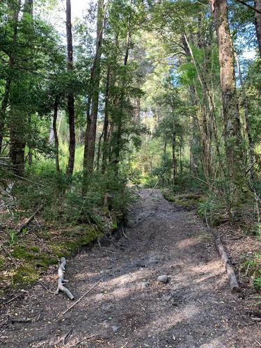Parcela En Venta 5.000 M2, Temuco, Laguna Quepe, Lote 170