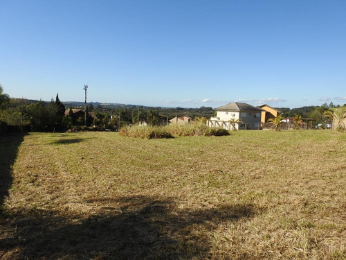 Imagem 11 de 30 de Terreno Gigante 1600 - 35519v