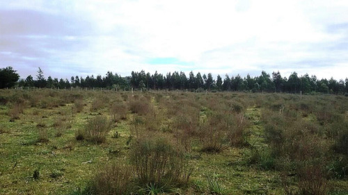 Imagen 8 de 15 de Fracción De Campo Con Costa De Arroyo Y Corriente Eléctrica