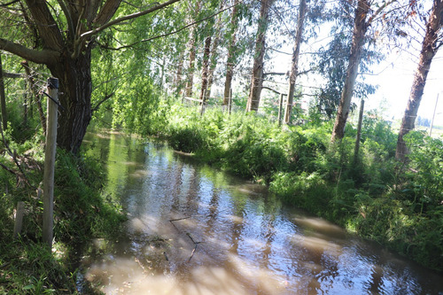 Vendo Parcela San Javier 20 Km De Talca