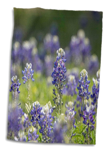 Toalla 3d Rose Bluebonnets Austin Texas Twl__1, 15 X 22