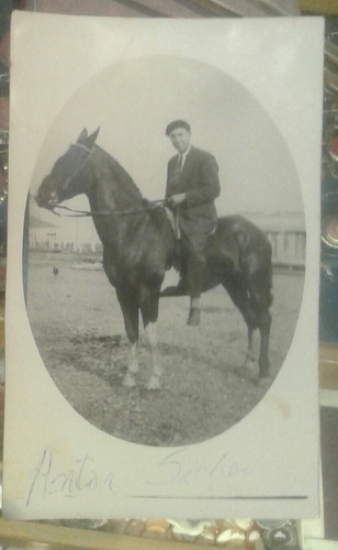 Antigua Foto Criollo Caballo Dice Anton Siches