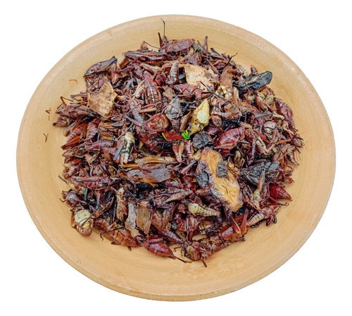 500 Gr Chapulines Ajo Y Limón Grande Oaxaqueños Verdor