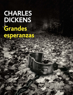 Libro Grandes Esperanzas (spanish Edition) - Winter, Erick