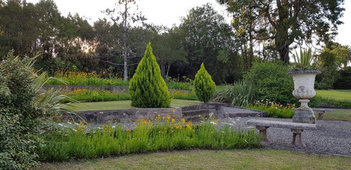 Imagen 6 de 30 de Campo - Cordoba Capital