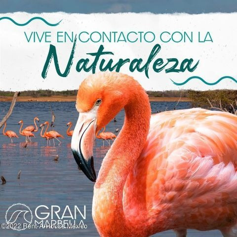 Imagen 5 de 7 de Terreno De Playa En Venta Dzidzantun Santa Clara Mt 22-1612