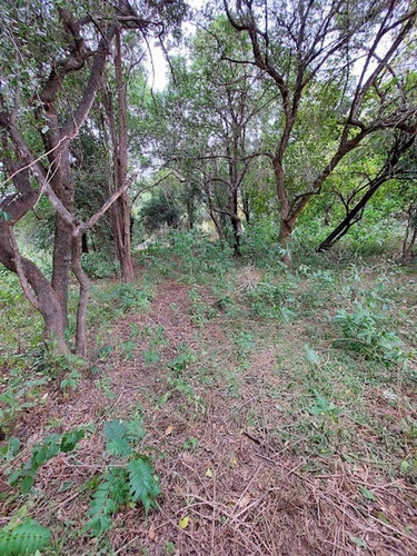 Imagen 4 de 12 de Vendo Lote En Agua De Oro! Ubicado A 3 Cuadras De La Ruta!