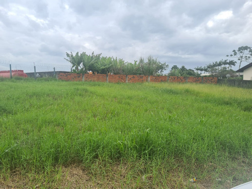 Imagem 4 de 4 de Terreno - Primeiro De Maio - Ref: 1684 - V-1684