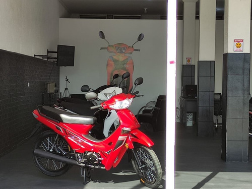 Imagem 15 de 15 de Nova Phoenix Shineray 50cc Ciclomotor