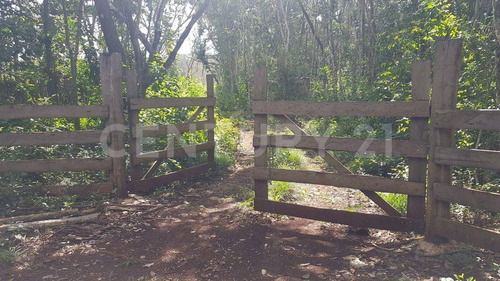 Terreno En Tekax 120 Hectáreas Propiedad Privada. Tekax Yucatán.