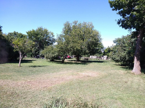 Imagen 2 de 7 de Casa Quinta En Gualeguaychú 5 Has
