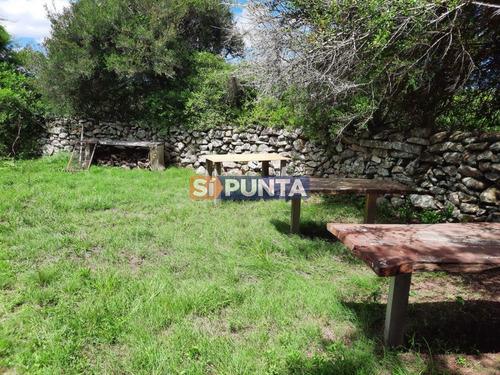 Imagen 20 de 22 de Linda Chacra De 5 Has En Las Cañas