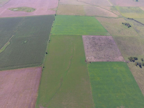 Imagen 8 de 9 de 12 Hectáreas Agrícolas En Aldea San Antonio, Gualeguaychú.