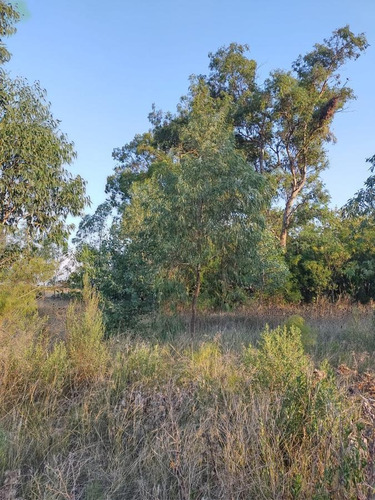 Imagen 8 de 9 de Campo En Sarandi (zona Esceula N° 17)