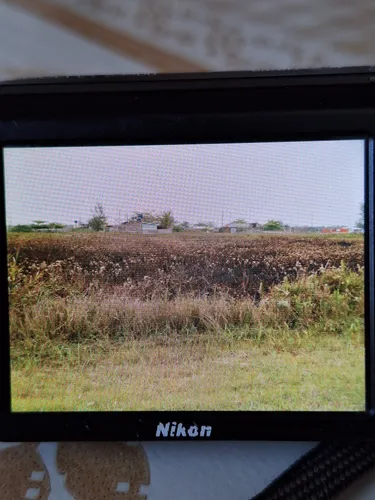 Terreno Ilha Comprida Sp - Leia A Descrição!!