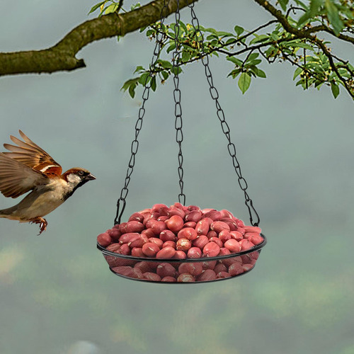 . Para Pájaros Con Plataforma S Para Pájaros Salvajes Para C