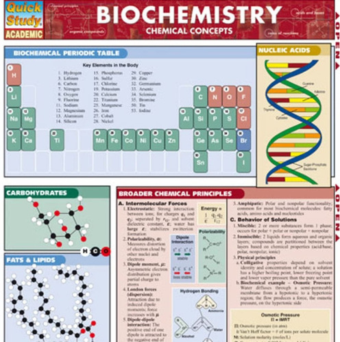 Conceptos Químicos En Ingles Quick Study Barcharts