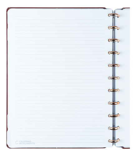 Caderno Inteligente Mocha Grande 11 Discos 80 Folhas Bordô