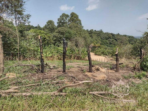 Imagem 7 de 11 de 2.100 M², Belíssimo Terreno Próximo A Rodovia !!