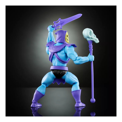 Masters Of The Universe Skeletor Colección Cartoon De 5.5