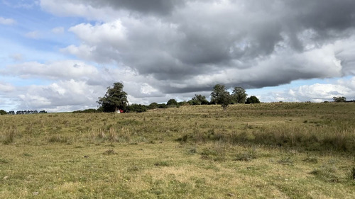 Quinta En Venta En La Garzona