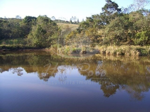 Imagem 15 de 16 de Chácara À Venda Em Chácaras Alpina - Ch036526
