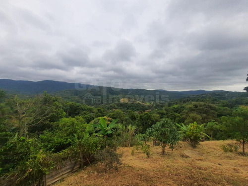 Imagem 11 de 14 de Chácara Para Venda Em Cajamar, Ponunduva, 2 Dormitórios, 1 Suíte, 2 Banheiros, 2 Vagas - 22466_1-2236342