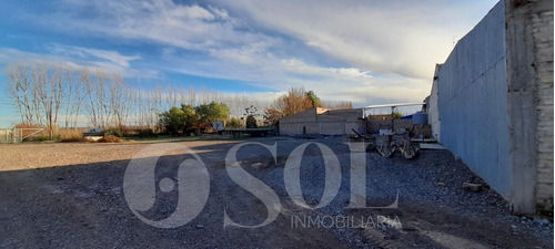 Imagen 18 de 30 de Galpón 1500 M2 En Allen
