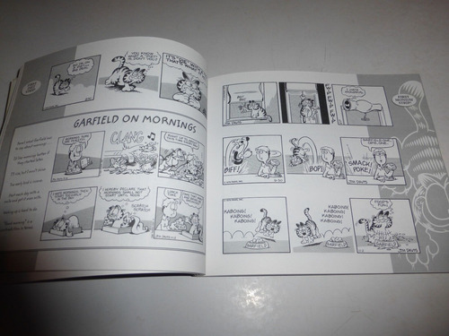 Garfield's Twentieth Anniversary Collection (Usado)