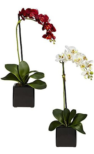 Nearly Natural 4757-s2 Orquídea Phaleanopsis Con Arreglo Dec