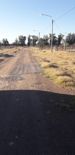 Imagen 4 de 7 de Vendo Lote Cuadro Benegas San Rafael Mendoza