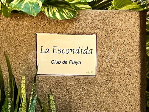 Terreno Espectacular En El Mejor Lugar De Manzanillo A Tu Alcance