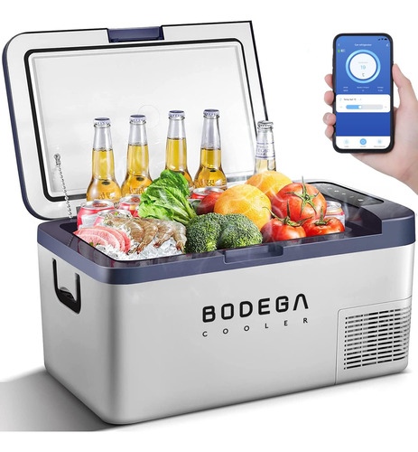 Bodega Cooler Refrigerador De Coche De 12 Voltios, Congelado