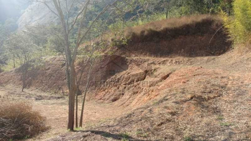 Imagem 11 de 15 de Lote / Terreno Em Corrêas - Petrópolis - 7595