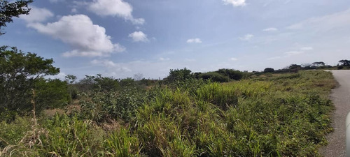 Imagen 4 de 7 de Terreno Vacacional En Venta En Tucacas Morrocoy Inm-024