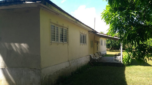 Imagem 5 de 20 de Granja 10.000m2 Ótima Para Loteamento Alto Padrão, Guabiraba, Aceito Imóvel Ou Carro - Ch00013